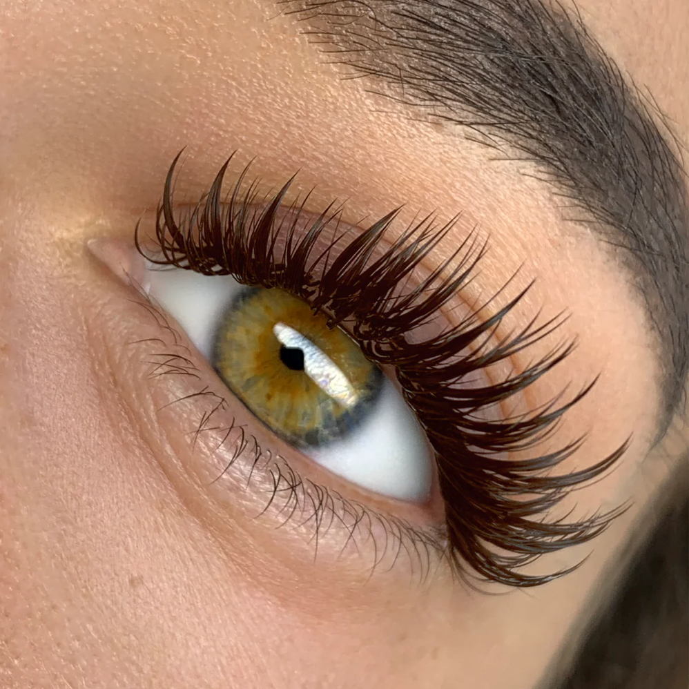 LBLA Mocha Lashes 3