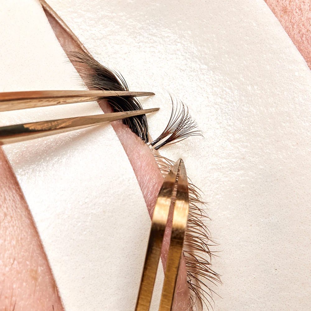 LBLA Mocha Lashes 4