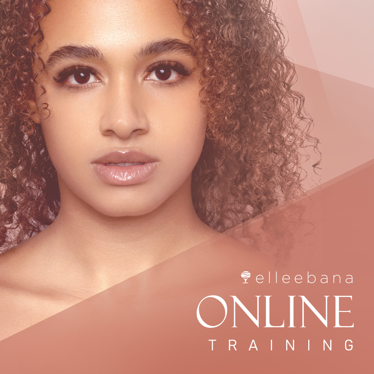 Online Brow Lamination Course